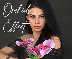 How to send flowers to Limassol